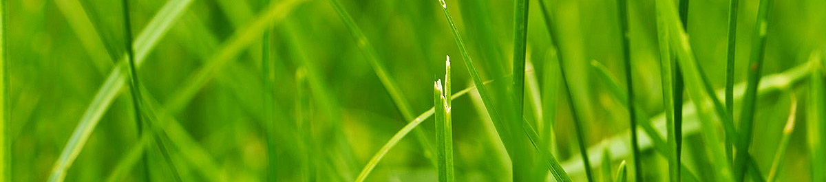 短信测压准确吗